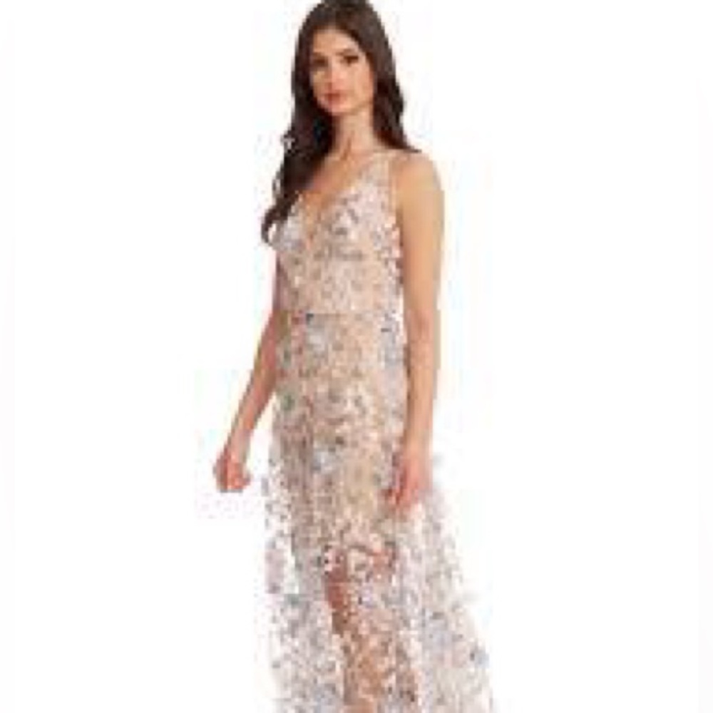 Anthropologie dress the population, Sidney sheer floral tulle maxi dress
